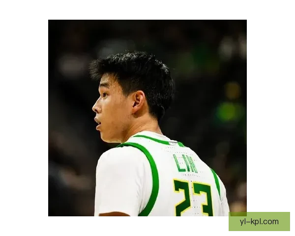 惨败之夜林葳内外线爆砍15分