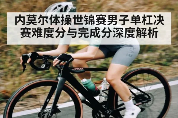 内莫尔体操世锦赛男子单杠决赛难度分与完成分深度解析
